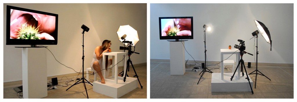 De la permanencia y otras necesidades performance:installation, 2013,2014,2015, Grethel Rasúa (Imágenes cortesía de la artista)